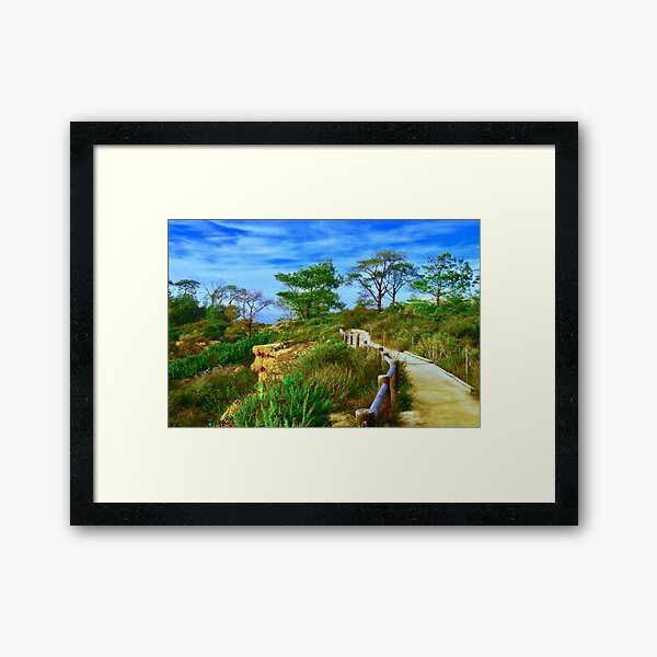 Item preview, A Stroll Through Torrey Pines designed and sold by Barbara  Brown.