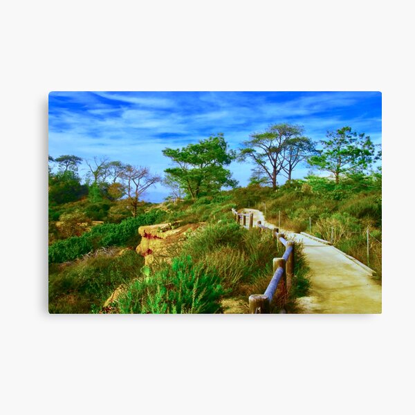 Item preview, A Stroll Through Torrey Pines designed and sold by Barbara  Brown.