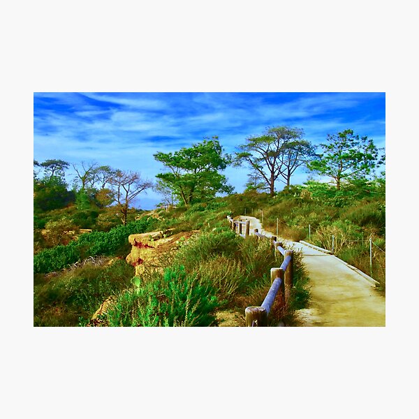 Item preview, A Stroll Through Torrey Pines designed and sold by Barbara  Brown.