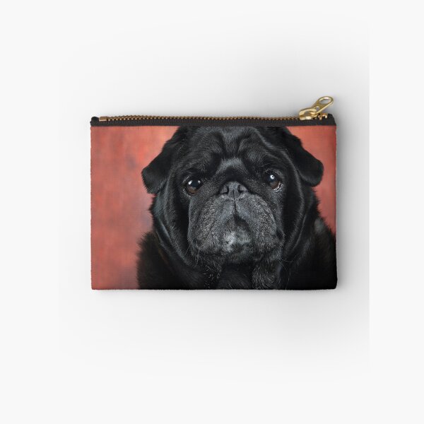 Item preview, Closeup of a Black Pug designed and sold by mlorenz.