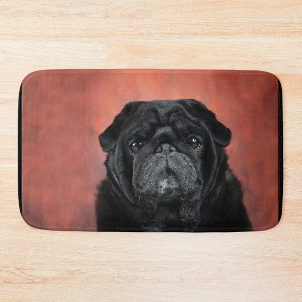 Item preview, Closeup of a Black Pug designed and sold by mlorenz.
