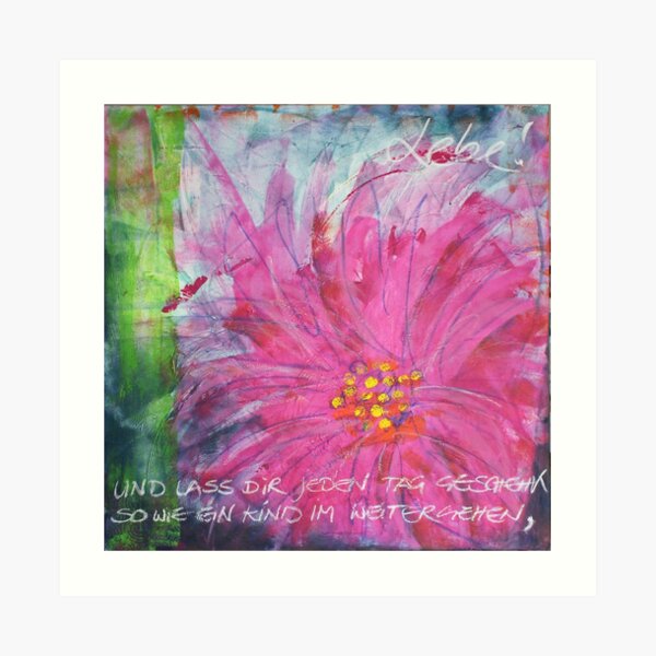 Frühlingserwachen: »pink daisy« Kunstdruck