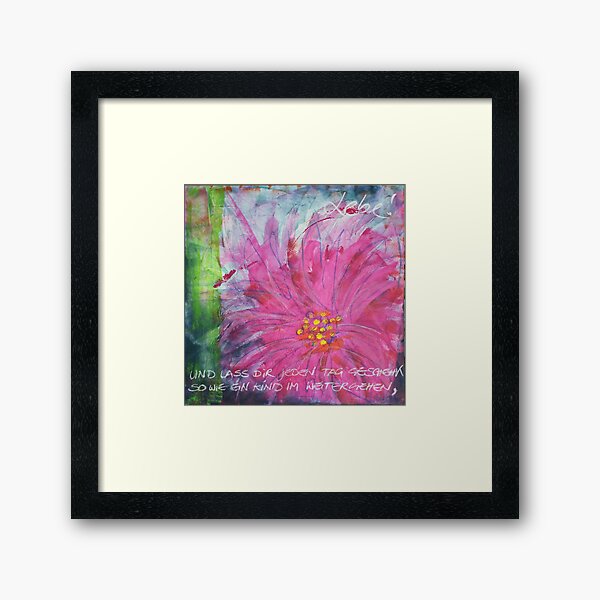 Frühlingserwachen: »pink daisy« Gerahmter Kunstdruck