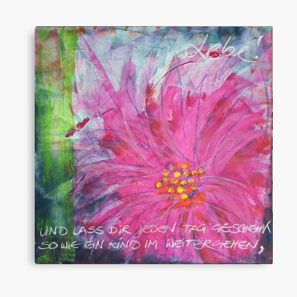 Frühlingserwachen: »pink daisy« Leinwanddruck