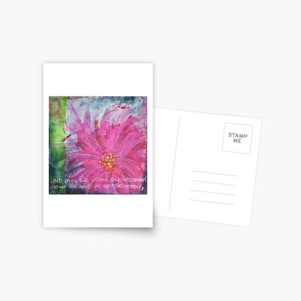 Frühlingserwachen: »pink daisy« Postkarte