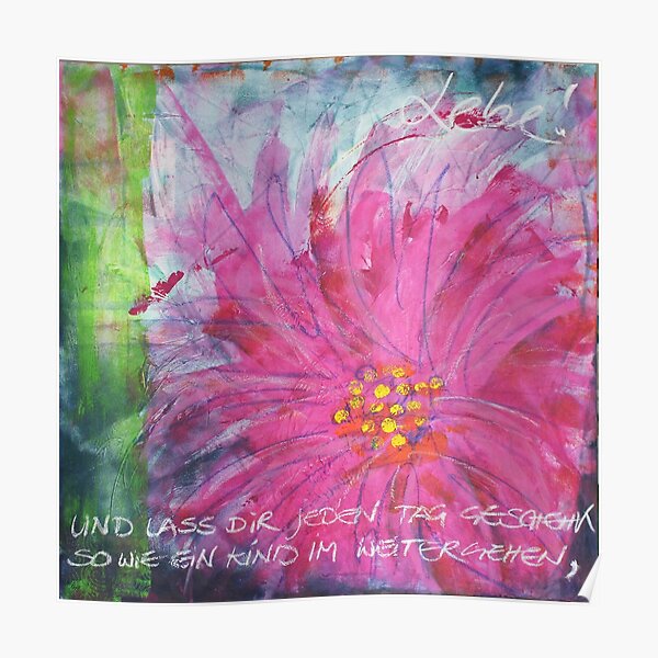 Frühlingserwachen: »pink daisy« Poster
