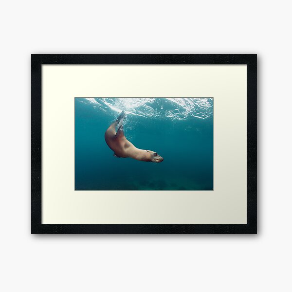 Playful pup Framed Art Print