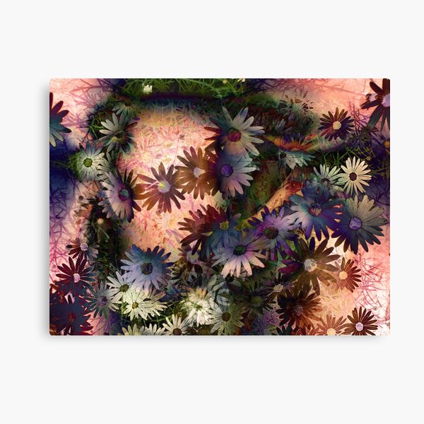 daisy infinity Canvas Print