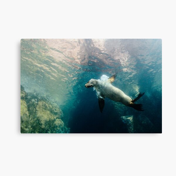 Almost oil painting Canvas Print