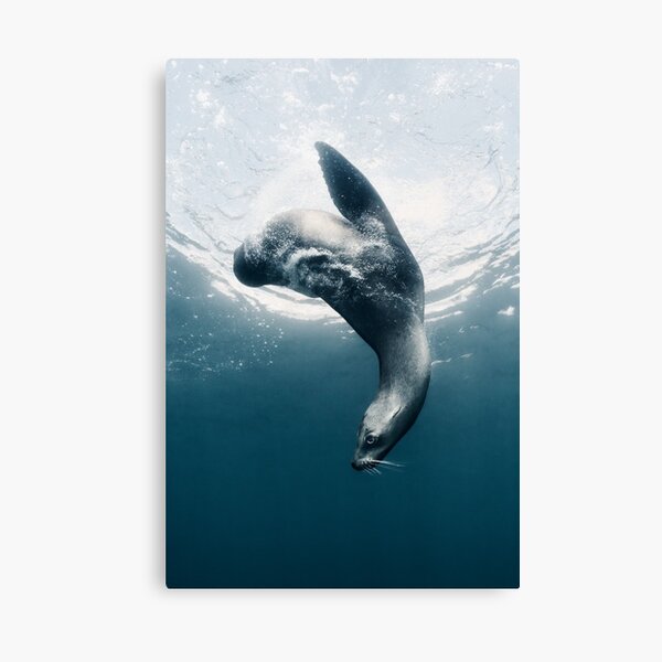 Elegance Canvas Print