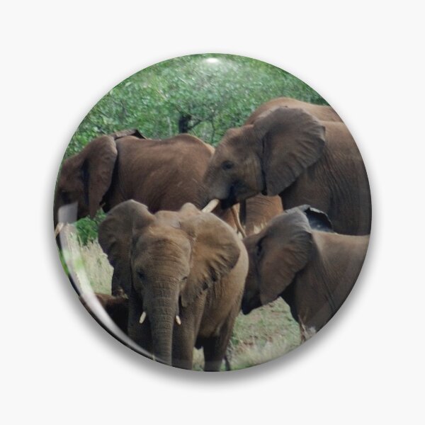 Item preview, A FAMILY GATHERING   THE AFRICAN ELEPHANT designed and sold by Magriet Meintjes.