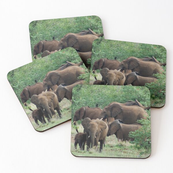 Item preview, A FAMILY GATHERING   THE AFRICAN ELEPHANT designed and sold by Magriet Meintjes.