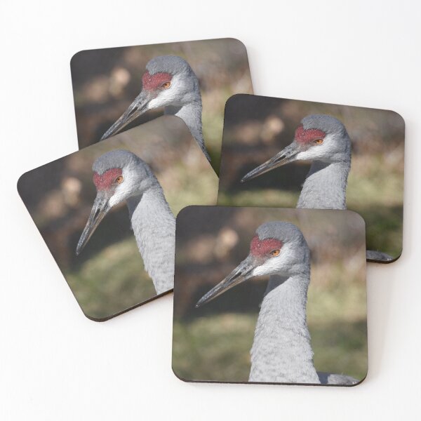 Item preview, Sandhill Crane at the Maryland Zoo designed and sold by Zoo and Nature Photography by Karie.
