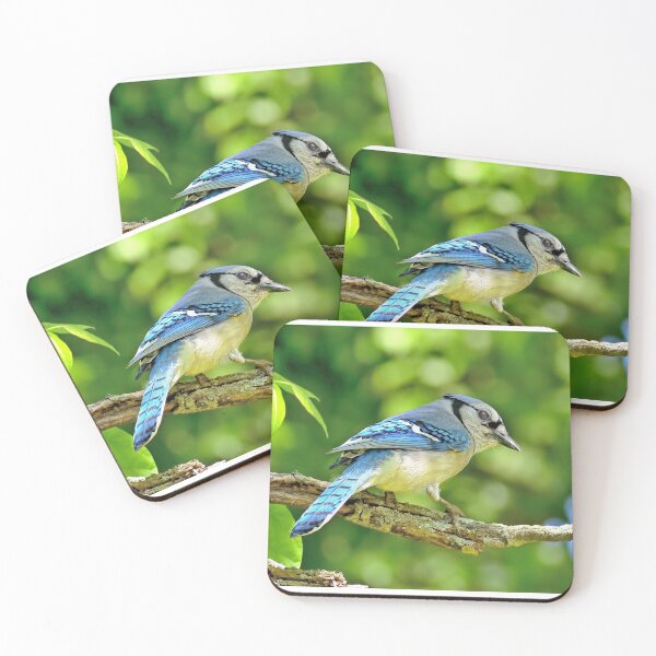 Item preview, Cyanocitta Cristata designed and sold by Lanis Rossi.
