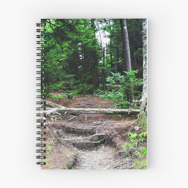 Item preview, Forest designed and sold by 3DDesignSpot.
