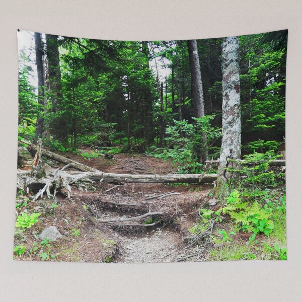 Item preview, Forest designed and sold by 3DDesignSpot.