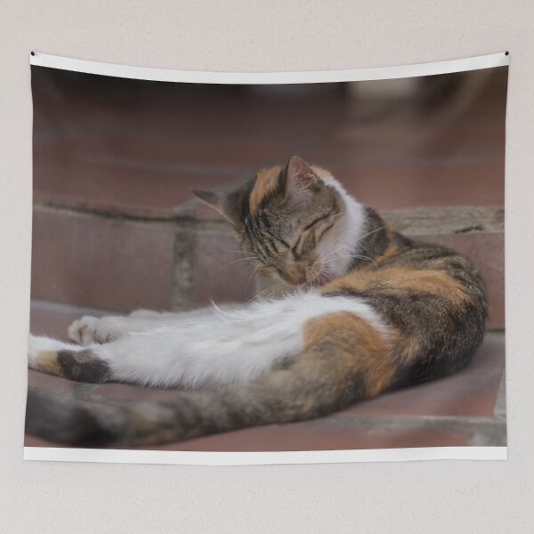 Item preview, cat designed and sold by ricobarinas.