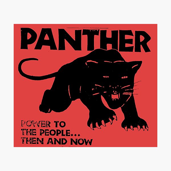 PANTHER Photographic Print