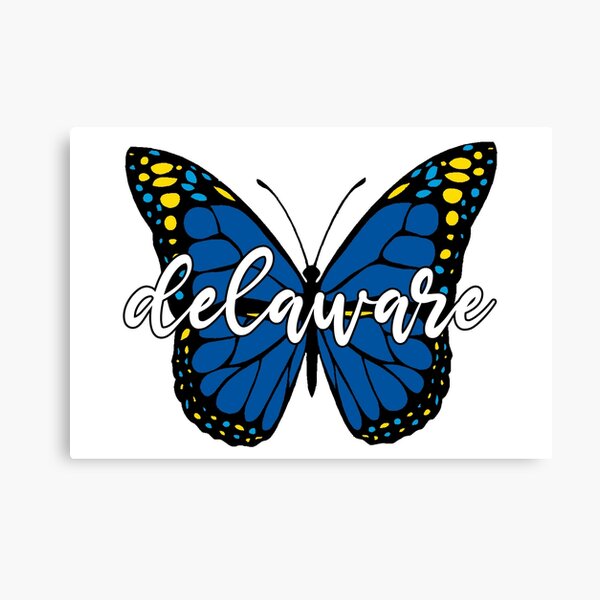 Delaware Butterfly Canvas Print