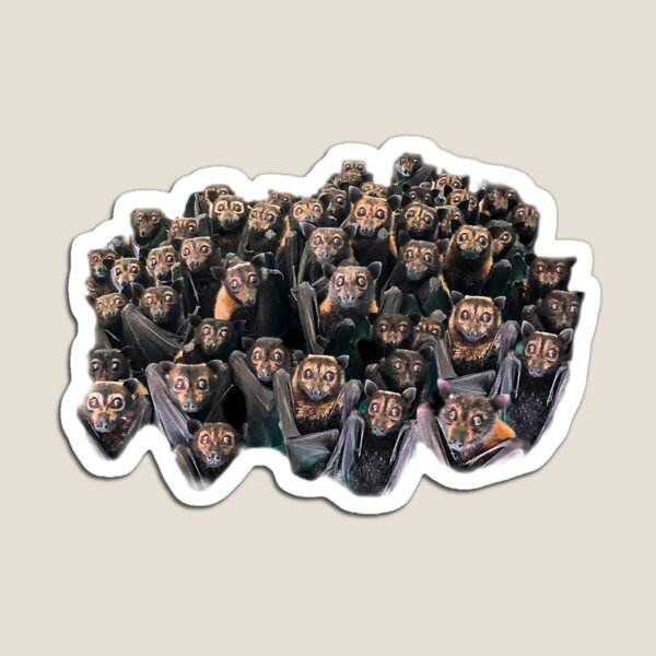 Bat Colony - Who's Looking At Who? Magnet