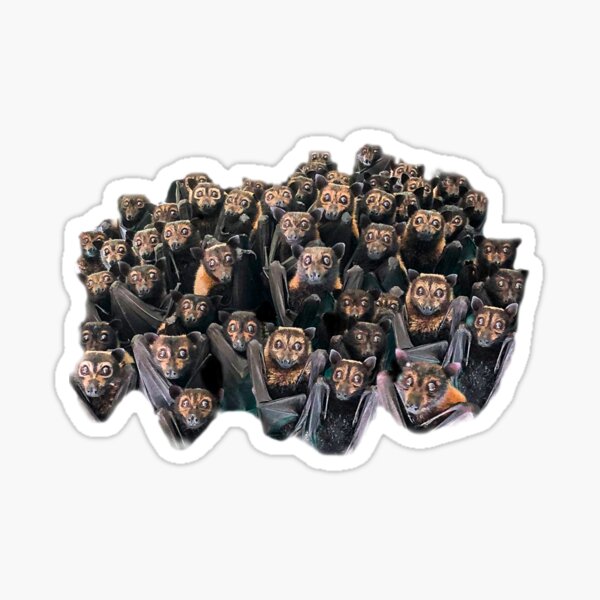 Bat Colony - Who's Looking At Who? Sticker