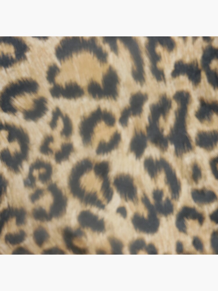 Jungle Collection by pandpmedia