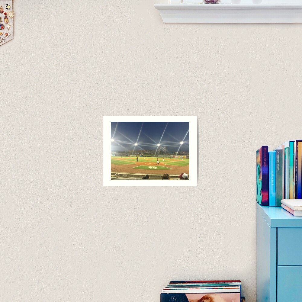 Take Me Out to the Ballgame Collection Art Print