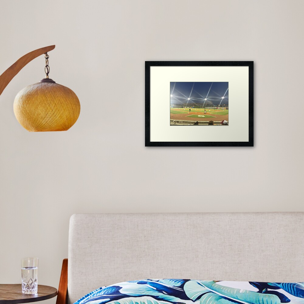 Take Me Out to the Ballgame Collection Framed Art Print