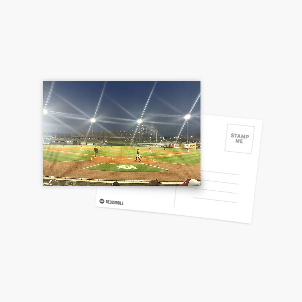 Take Me Out to the Ballgame Collection Postcard