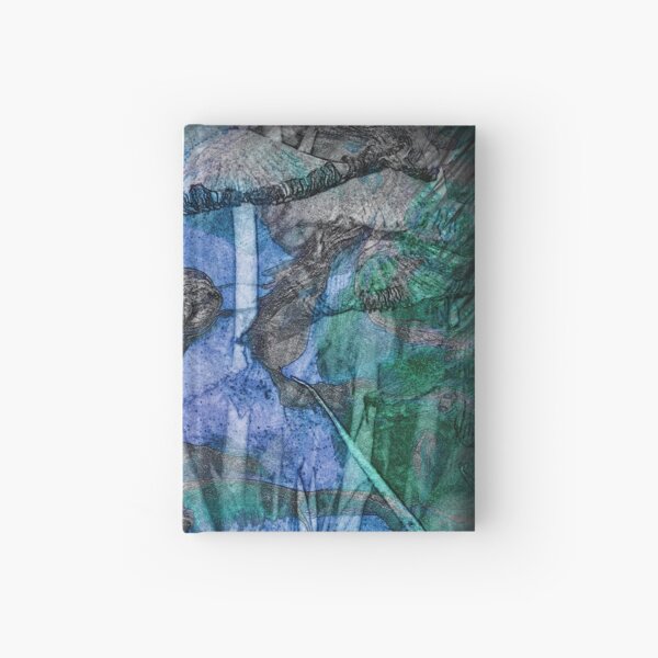 The Atlas Of Dreams - Color Plate 28 Hardcover Journal