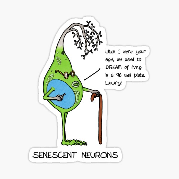 "Cell Culture Problems Senescent Neurons" Sticker by Immy Redbubble