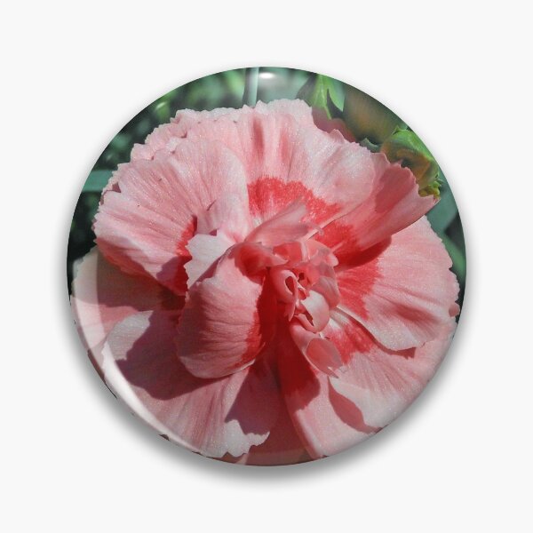 Item preview, Perfumed Pink Carnation designed and sold by SunriseRose.