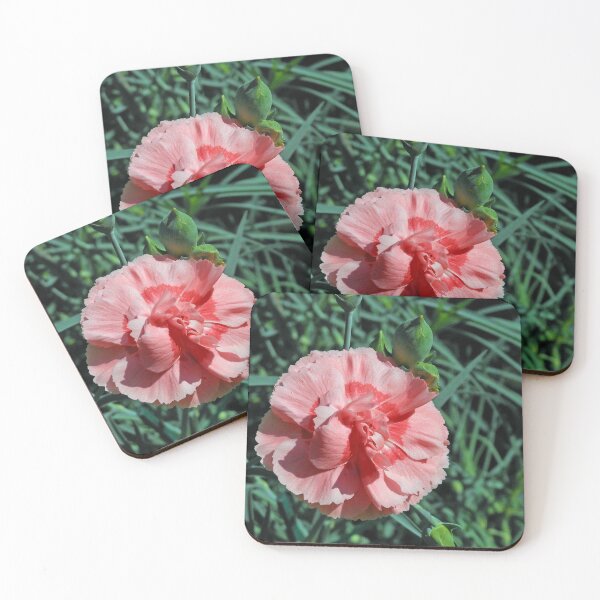 Item preview, Perfumed Pink Carnation designed and sold by SunriseRose.