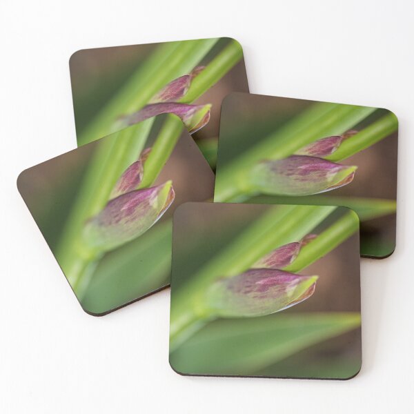 Item preview, Iris Spathe designed and sold by Joy Watson - Natural Light Photography .