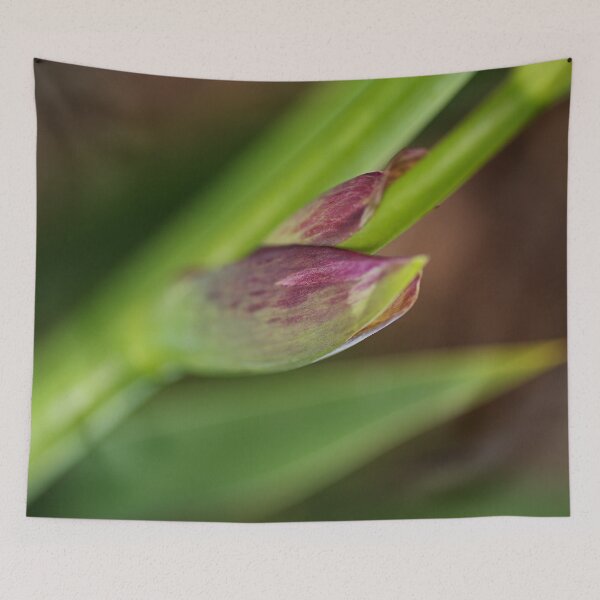 Item preview, Iris Spathe designed and sold by Joy Watson - Natural Light Photography .