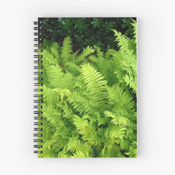 Item preview, Vibrant Ferns - Preston Temple Grounds designed and sold by SunriseRose.