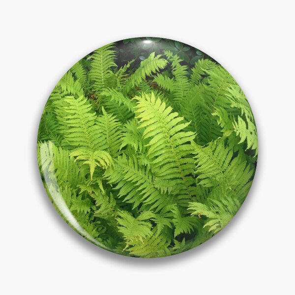 Item preview, Vibrant Ferns - Preston Temple Grounds designed and sold by SunriseRose.