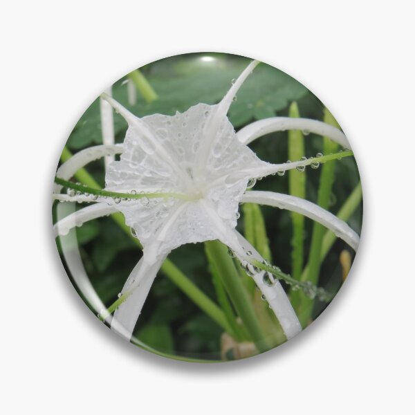 Item preview, Spider Lily designed and sold by Genevieve Hanlon Art and Photography.