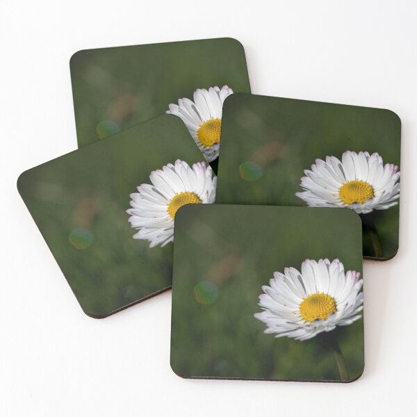 Item preview, Meadow Daisy designed and sold by Rosemeade-Farm.