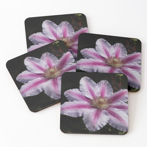Item preview, Clematis at Noonday designed and sold by SunriseRose.
