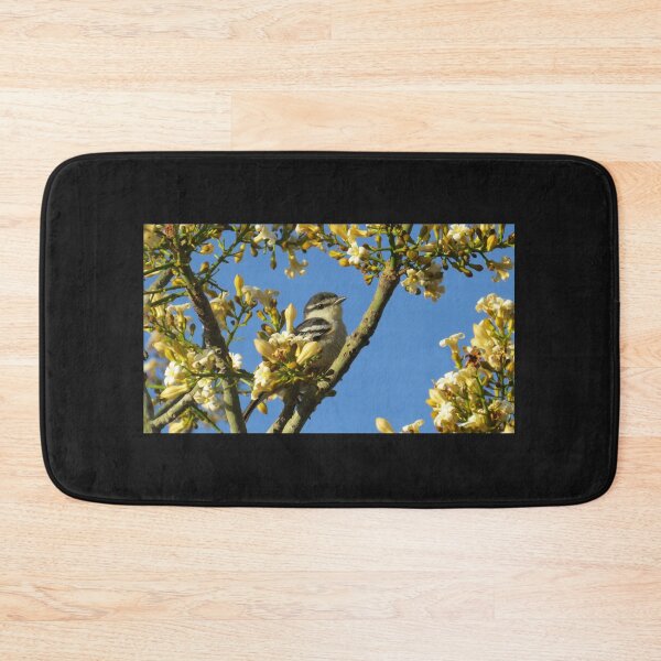 Item preview, Varied Triller. designed and sold by Genevieve Hanlon Art and Photography.