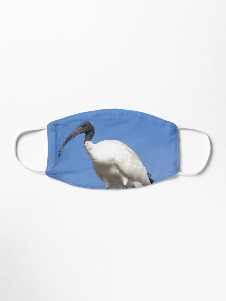 Alternate view of Australian Ibis Mask