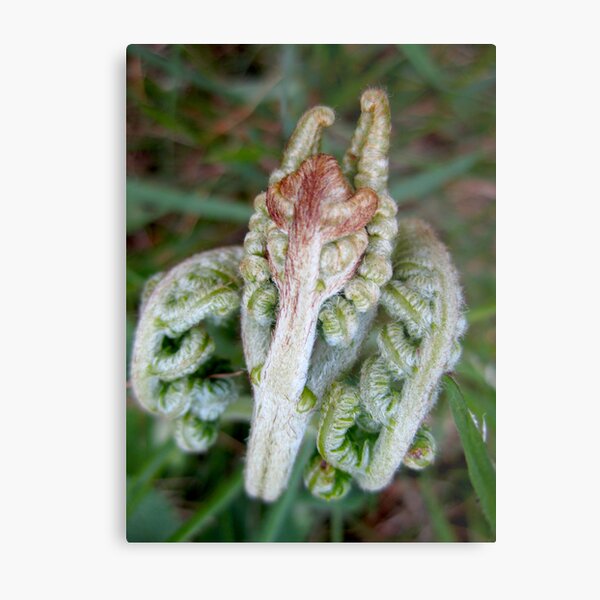 Yoga freak Metal Print
