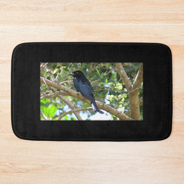 Item preview, Spangled Drongo designed and sold by Genevieve Hanlon Art and Photography.
