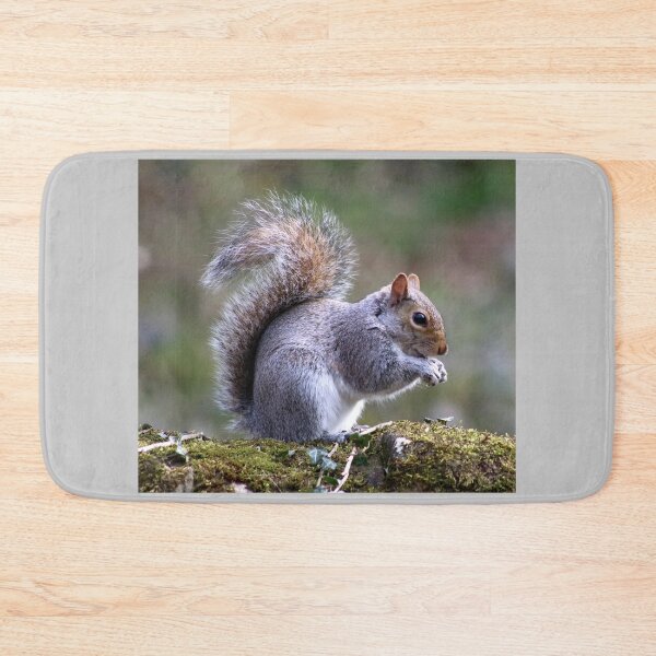 Item preview, nutty squirrel designed and sold by tammy mellor.