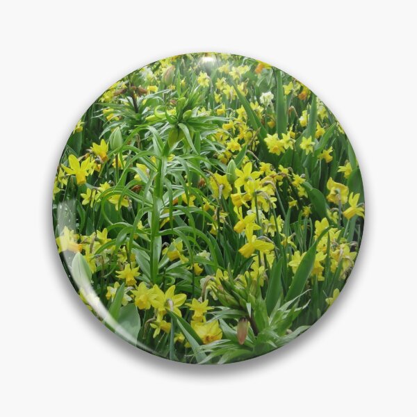 Item preview, A Riot of Daffodils and Tulips - Keukenhof Gardens designed and sold by SunriseRose.