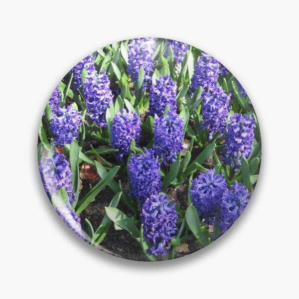 Item preview, Beautiful Blue Hyacinths - Keukenhof Gardens designed and sold by SunriseRose.