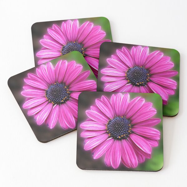 Item preview, Awesome African Daisy designed and sold by SunriseRose.