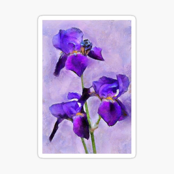 Purple Irises - painted Sticker