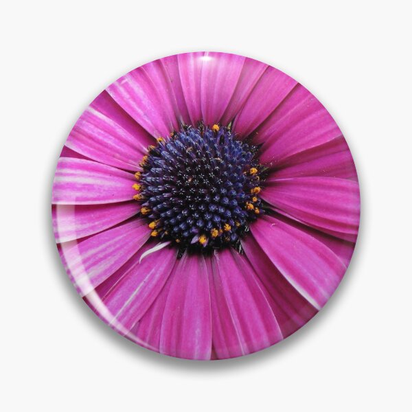 Item preview, Awesome African Daisy designed and sold by SunriseRose.
